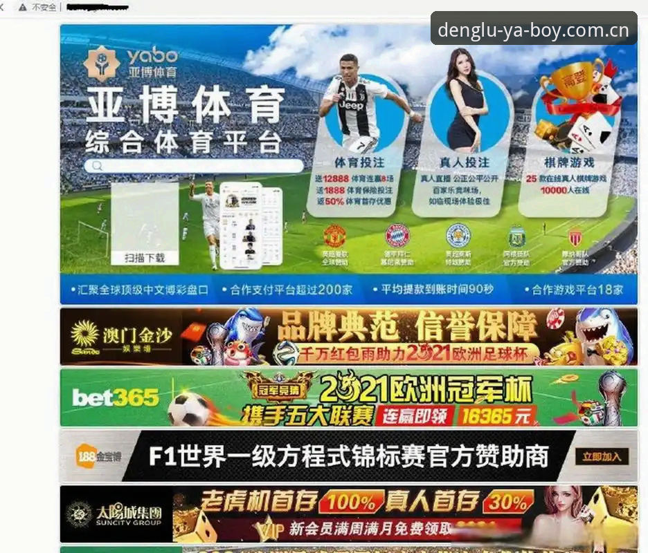 亚博手机版下载 亚博体育入口2024年新版下载通道解析,移动端访问体验迎来重要更新